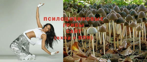 гашишное масло Аркадак