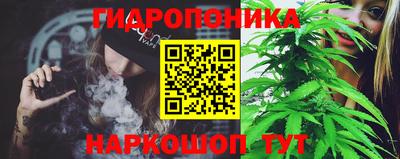 винт Сланцы