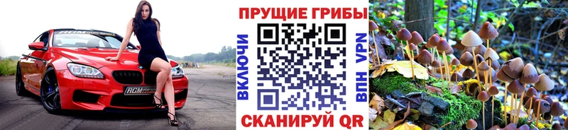 Галлюциногенные грибы Psilocybe  Ярцево 