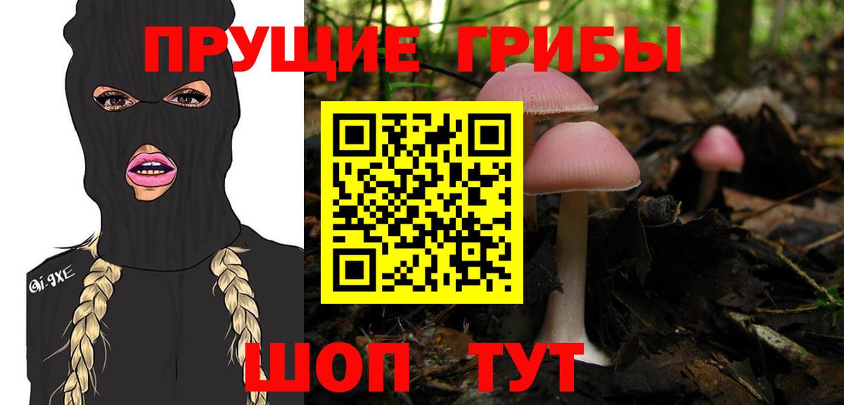 Галлюциногенные грибы Cubensis Ярцево
