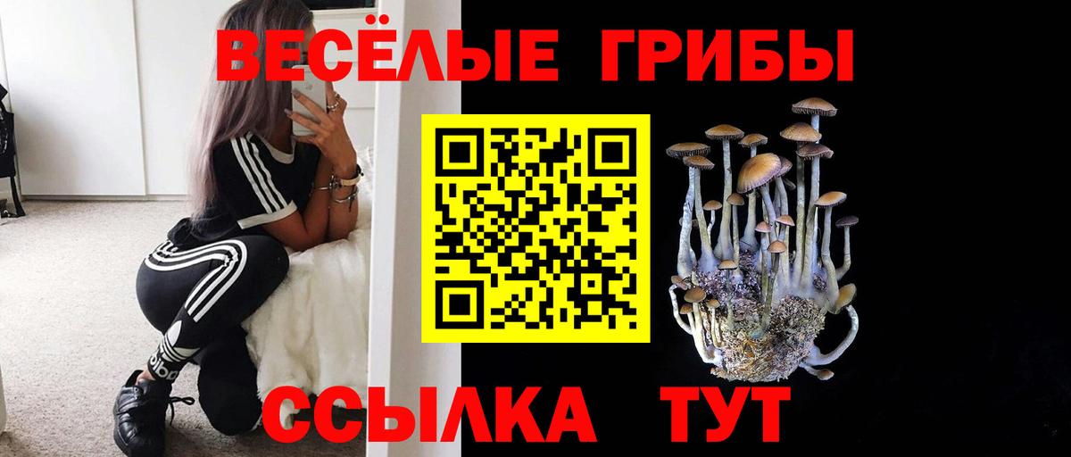 Ярцево  Псилоцибиновые грибы Magic Shrooms  Галлюциногенные грибы Magic Shrooms  Вход с VPN 