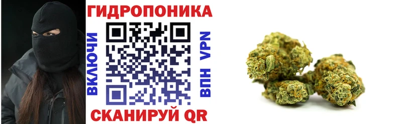 МАРИХУАНА сатива Ярцево